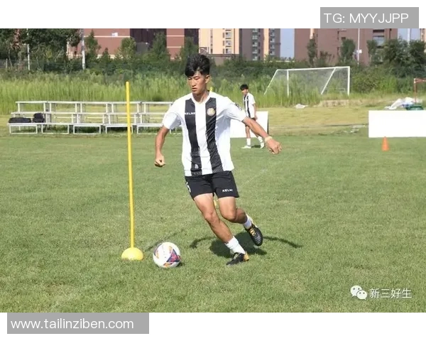 三亚崖州足球球星风采盘点及其对地方足球发展的影响